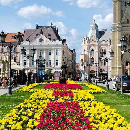 ! Promo! Central Evergreen Studio - Free Public Parking-Fast Wi-Fi Novi Sad Extérieur photo